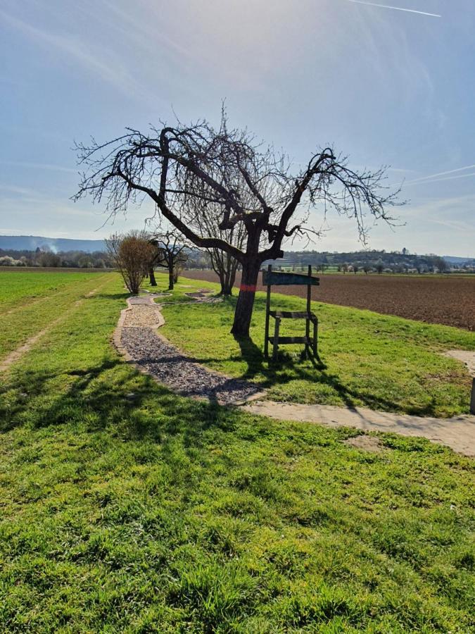 Ferienwohnung Zum Schlossblick Naehe Europa Park Mahlberg Zewnętrze zdjęcie