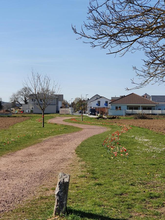 Ferienwohnung Zum Schlossblick Naehe Europa Park Mahlberg Zewnętrze zdjęcie