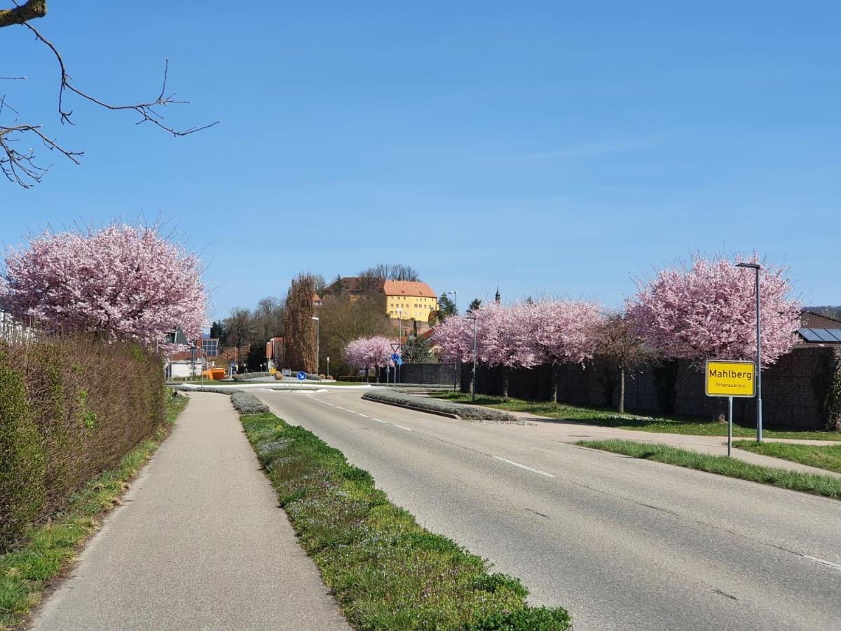 Ferienwohnung Zum Schlossblick Naehe Europa Park Mahlberg Zewnętrze zdjęcie